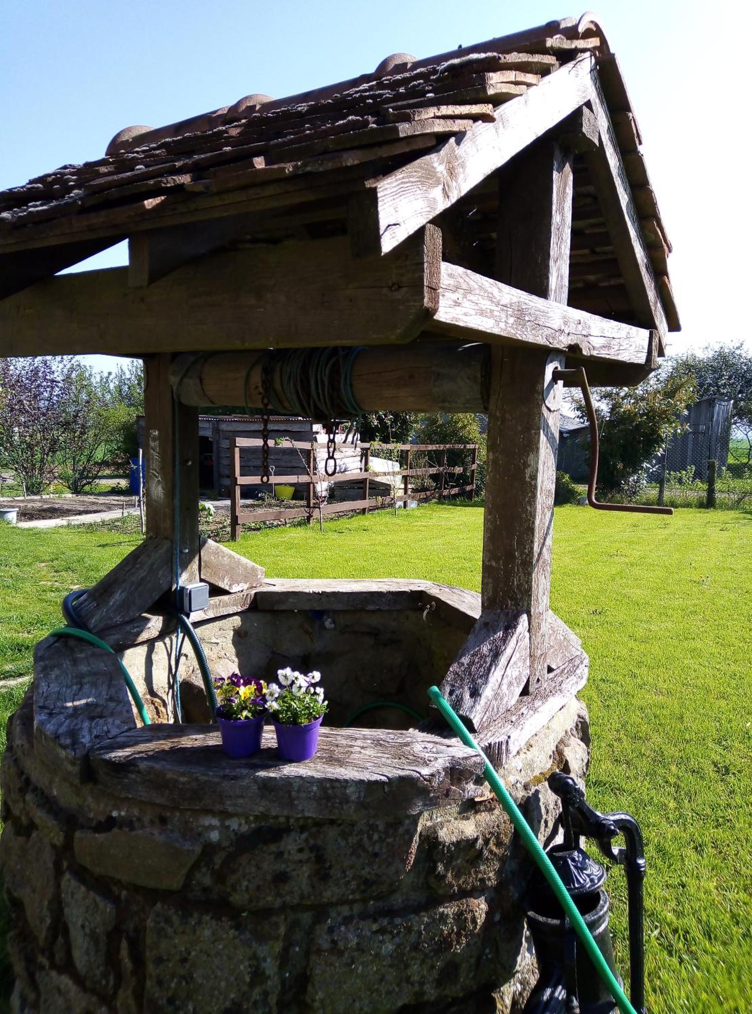 Le Beauregard Bed and Breakfast Rânes Eksteriør billede
